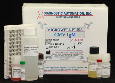 elisa test lyme|positive igg lyme test.